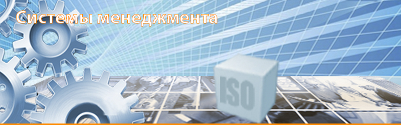 06_syst.jpg